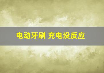 电动牙刷 充电没反应